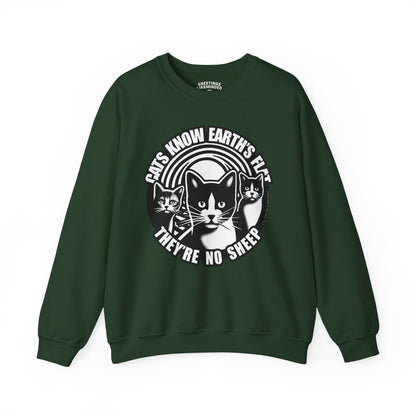 Sweatshirt | Cats Know