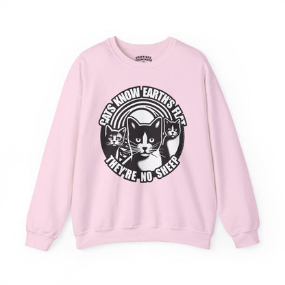 Sweatshirt | Cats Know