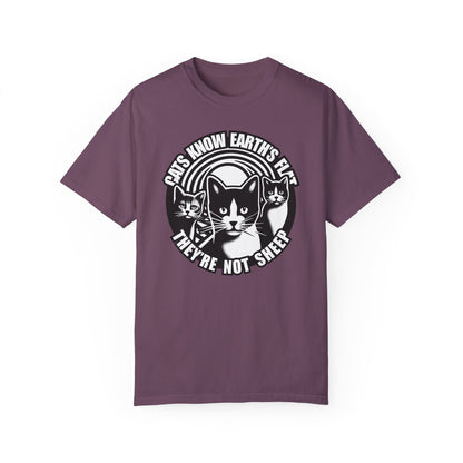 T-Shirt | Cats Know