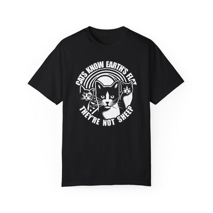 T-Shirt | Cats Know