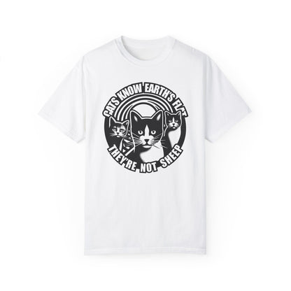 T-Shirt | Cats Know