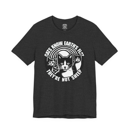T-Shirt | Cats Know | Dark Grey Heather