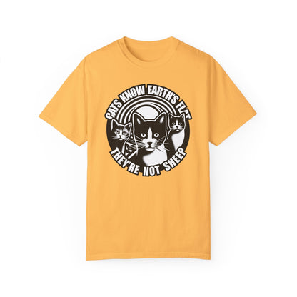 T-Shirt | Cats Know