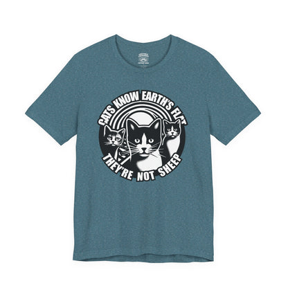 T-Shirt | Cats Know | Heather Deep Teal