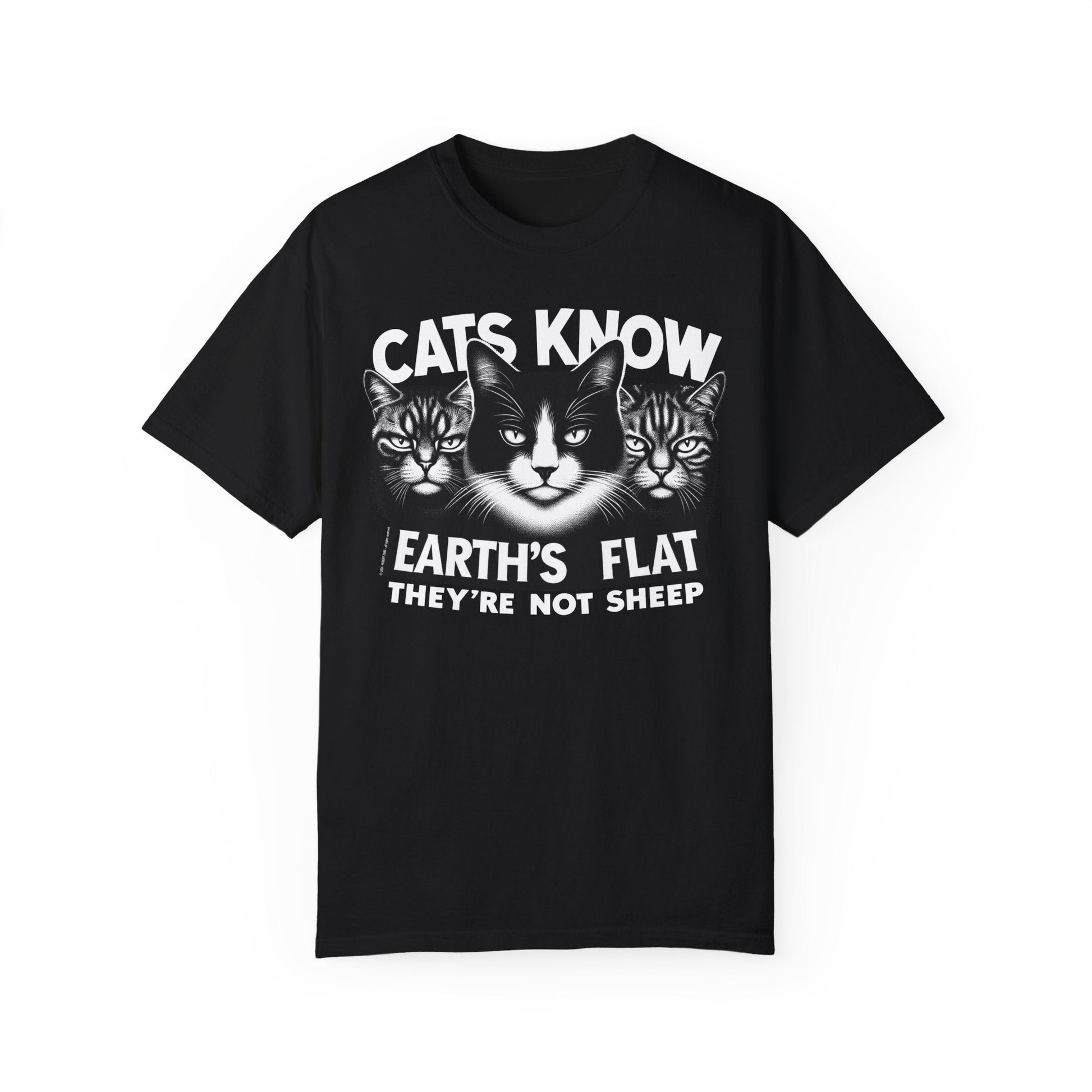 T-Shirt | Cats Know | Black