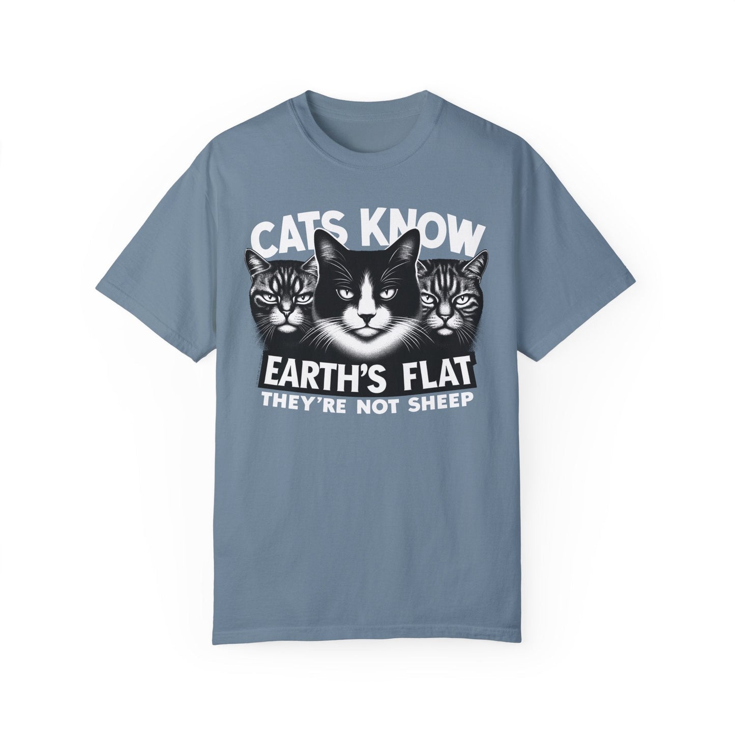 T-Shirt | Cats Know | Ice Blue